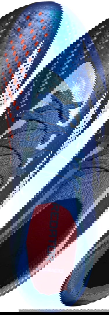 Superge in čevlji adidas Performance Predator Accuracy.2 MG Modra | ie9485, 1