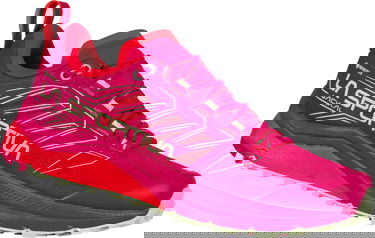 Superge in čevlji La Sportiva Jackal GTX W Rdeča | 46k409321, 1