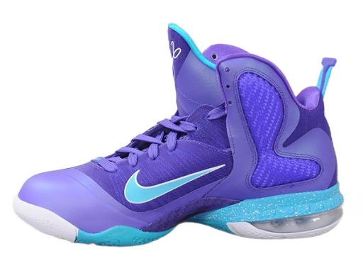 Košarka Nike LeBron 9 "Summit Lake Hornets" Lila | 469764 500