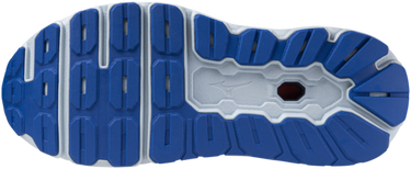 Superge in čevlji Mizuno WAVE HORIZON 7 Modra | j1gc2426-51, 1
