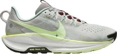 Superge in čevlji Nike Pegasus Trail 5 Zelena | dv3864-004, 0