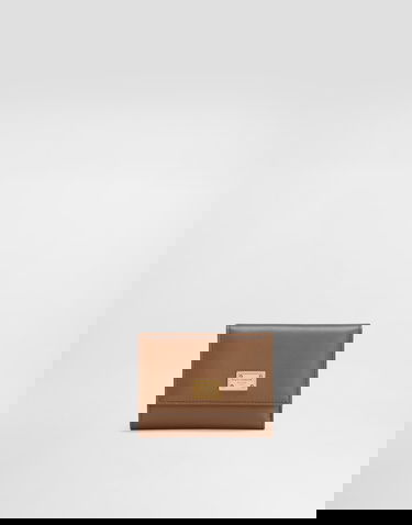 Denarnica Dolce & Gabbana Dolce & Gabbana Plongé Calfskin Small Wallet Rjava | BI0770A9S258Z093, 0