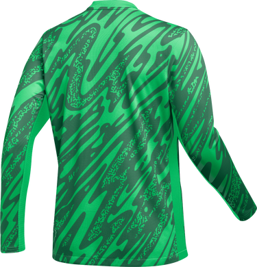Dres Nike Nike Gardien V Goalkeeper Jersey Zelena | fd7477-329, 1
