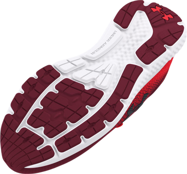 Superge in čevlji Under Armour UA Charged Rogue 4 Rdeča | 3026998-600, 2
