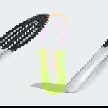 Superge in čevlji adidas Performance Boty Ultraboost Light GTX Siva | IG5018, 3