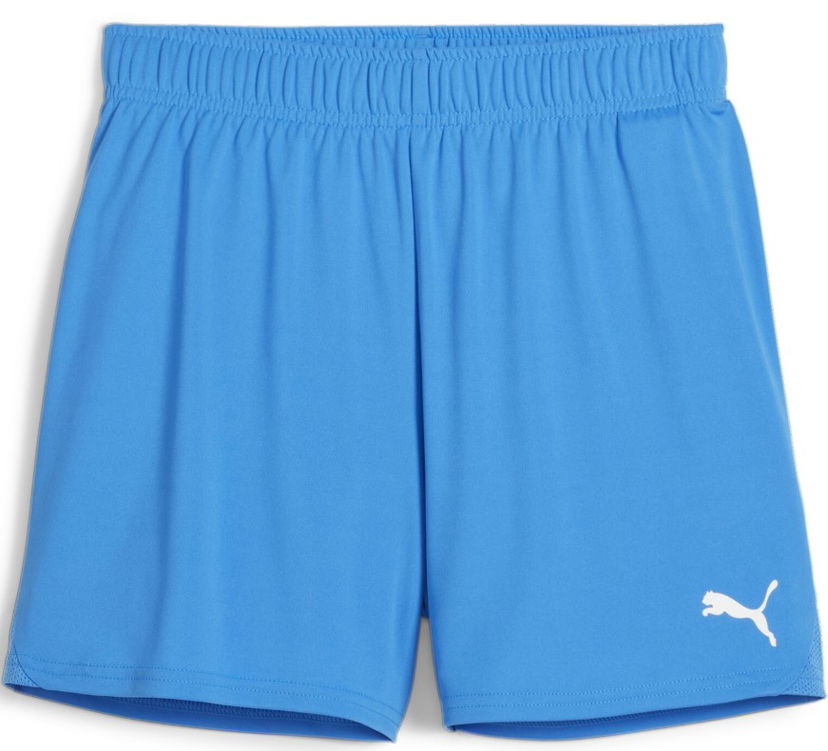Kratke hlače Puma teamGOAL Handball Shorts Modra | 706019-02