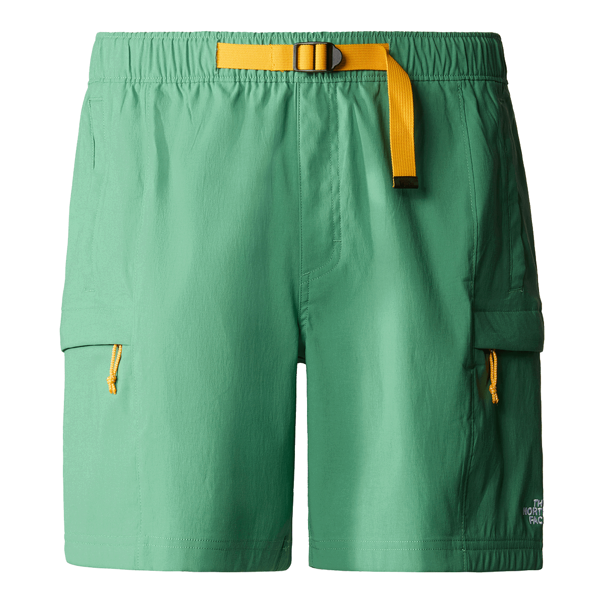 Kratke hlače The North Face Class V Belted Cargo Short Zelena | NF0A55V8N111, 0