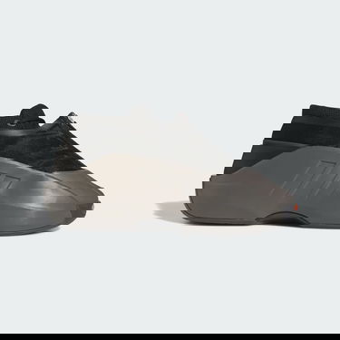 Superge in čevlji adidas Originals Crazy Iiinfinity Siva | IG6156, 0
