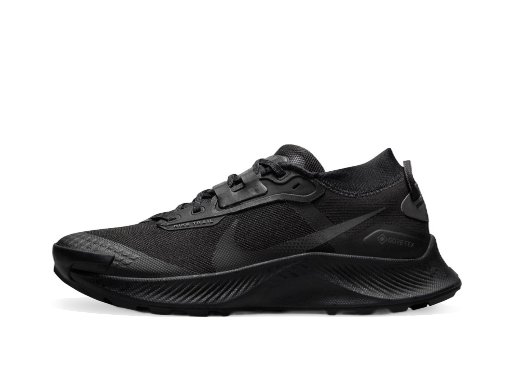 Tek Nike Pegasus Trail 3 GTX W Črna | dc8794-001