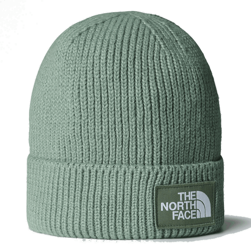 Beanie The North Face The North Face Logo Box Cuffed Beanie Zelena | NF0A8CHED5M1