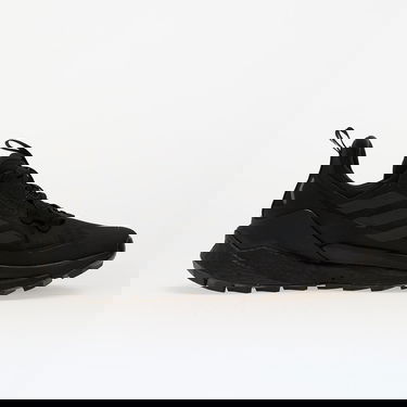 Superge in čevlji adidas Performance Terrex Free Hiker 2 Low Črna | IE5110, 2