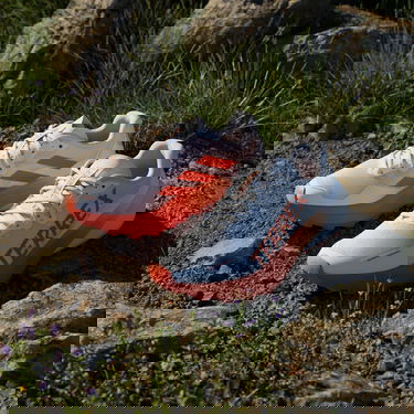 Superge in čevlji adidas Performance Terrex Agravic 3 Bela | ji0955, 7