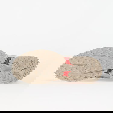 Superge in čevlji Salomon XT-PATHWAY 2 Bež | L47860800, 1