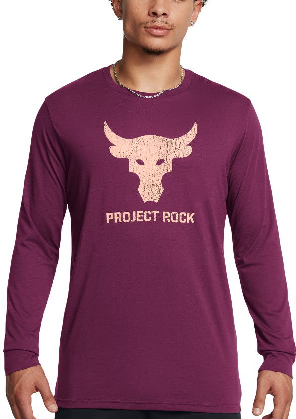Majica Under Armour Long Sleeve T-Shirt Bull Lila | 1374847-505