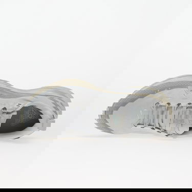 Superge in čevlji Nike Vomero 18 Gore-Tex Siva | HQ7001-003, 3