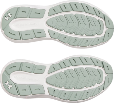 Superge in čevlji Under Armour Charged Rogue 5 Siva | 3028262-377, 2