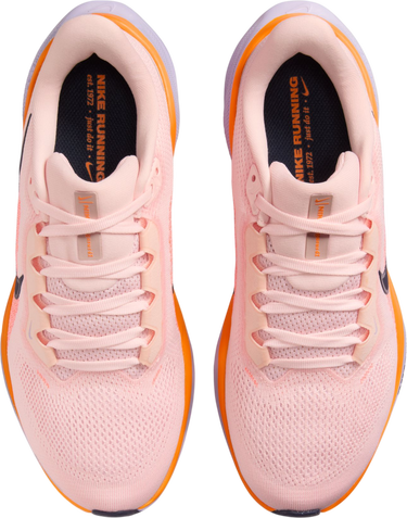 Superge in čevlji Nike Pegasus 41 Roza | fd2723-603, 2