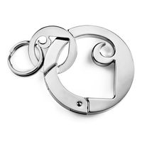 Metal Carabiner Keychain
