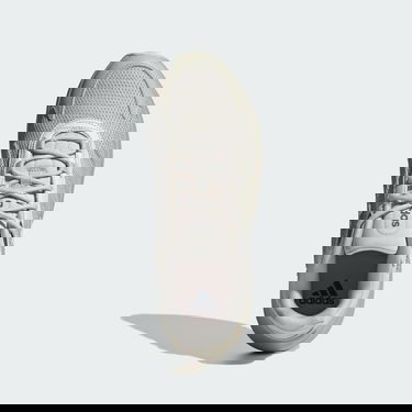 Superge in čevlji adidas Performance Ozelle Siva | IG5987, 2