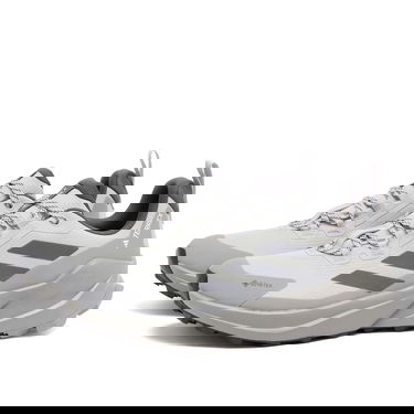 Superge in čevlji adidas Performance Terrex Trailmaker 2 GTX Size UK 10 Siva | IH3736, 2