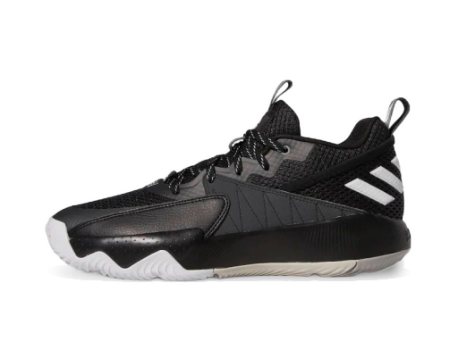 Košarka adidas Performance Dame Extply Črna | GY2439