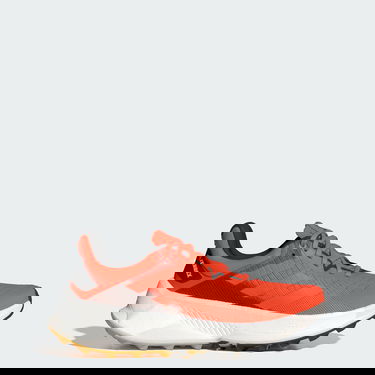 Superge in čevlji adidas Performance adidas TERREX Rdeča | IE8455, 1