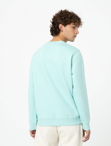 Pulover Dickies Oakport Sweatshirt Turkizna | 0A4XCE, 0
