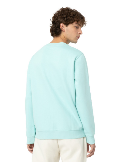 Pulover Dickies Oakport Sweatshirt Turkizna | 0A4XCE