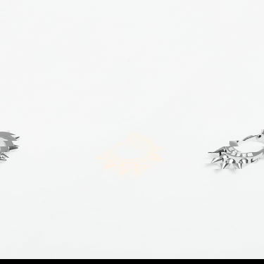 Uhani Wasted Paris Wasted Paris U Pike Earring Kovinski | WP_000307, 0