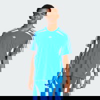 Adicolor Teamgeist T-Shirt