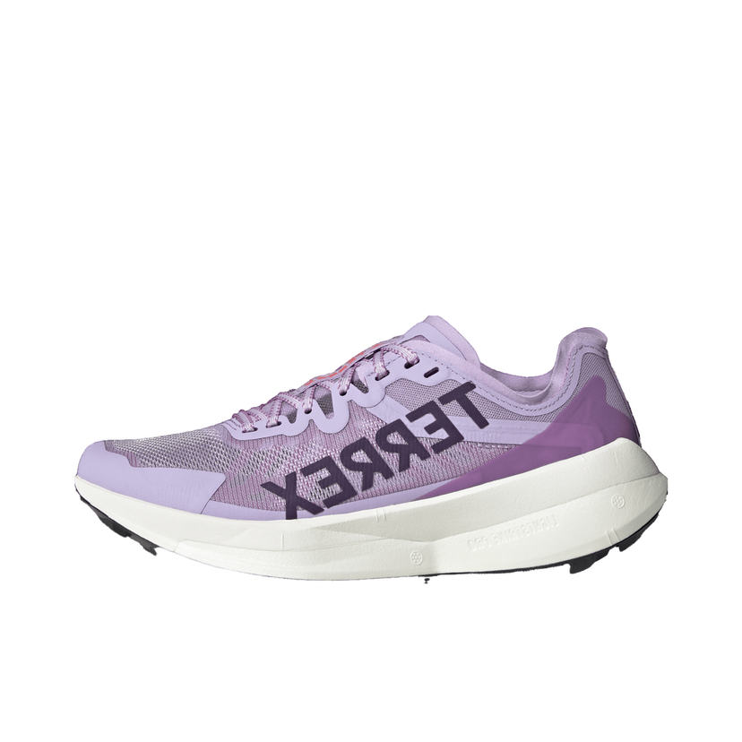 Superge in čevlji adidas Performance Terrex Agravic Speed Lila | jq1617
