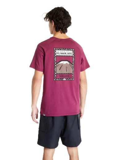 Majica The North Face North Face Roza | NF00CEQ8I0H
