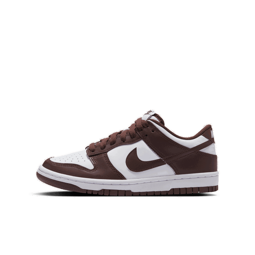 Superge in čevlji Nike Dunk Low Rjava | FB9109-115