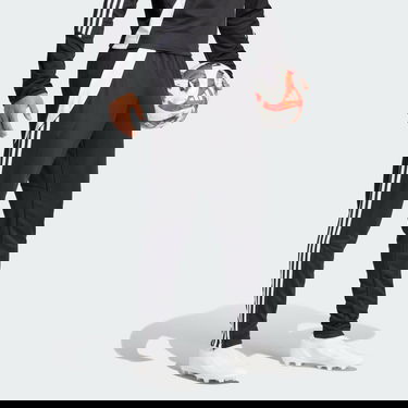 Hlače in kavbojke adidas Performance Tiro 24 Training Črna | IP1952, 3