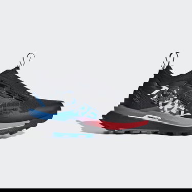 Superge in čevlji adidas Performance Terrex Agravic Pro Trail Running Črna | GZ8879, 0