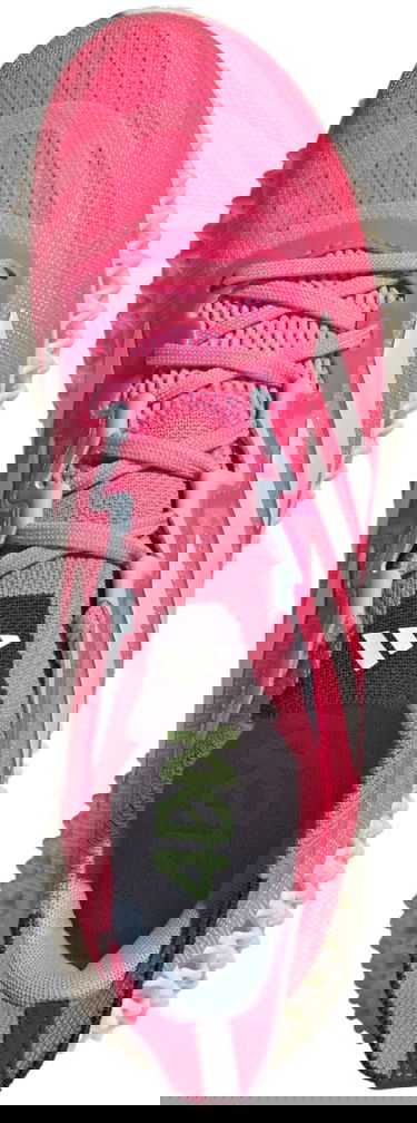 Superge in čevlji adidas Performance 4DFWD 3 W Roza | ig8988, 1