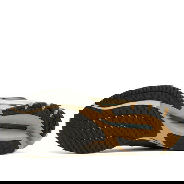 Superge in čevlji Mizuno WAVE RIDER Rjava | D1GA3309-24, 5