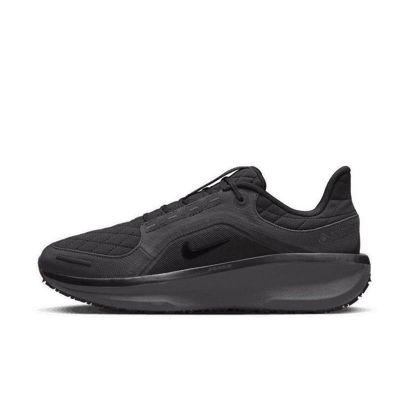 Tek Nike Winflo 11 GORE-TEX Črna | FQ1358-001