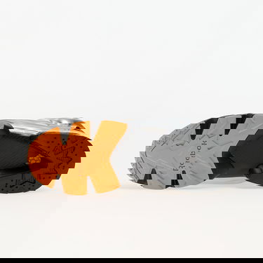 Superge in čevlji Reebok ARIES x Instapump Fury 94 Siva | RMIA04SC99LEA0057220, 1