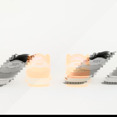 Superge in čevlji Nike Dunk Low NN SE Oranžna | HJ5864-200, 4