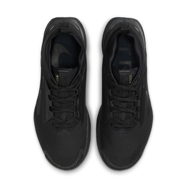 Superge in čevlji Nike Pegasus Trail 5 GORE-TEX Črna | FQ0912-002, 3