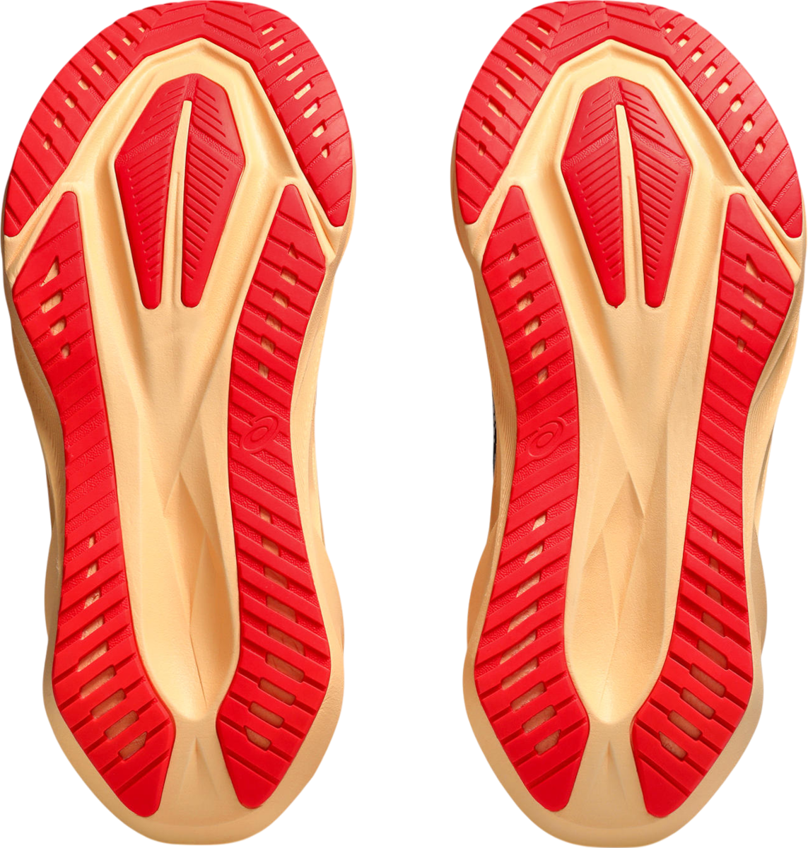 Superge in čevlji Asics NOVABLAST 5 Črna | 1011b974-404, 1
