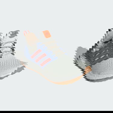 Superge in čevlji adidas Performance Ultraboost 1.0 Bela | ID9667, 5