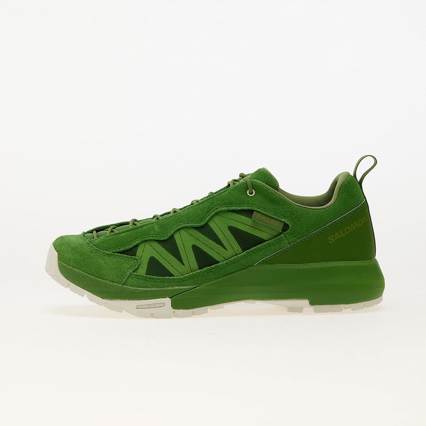 Outdoor Salomon Alpinway SP2 Zelena | L47707700