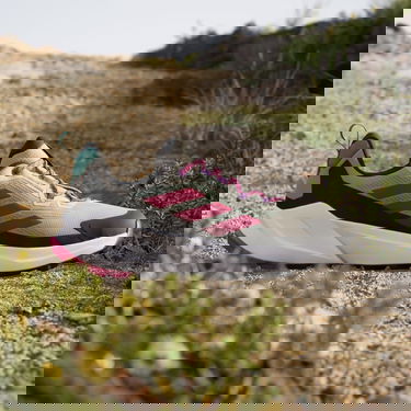 Superge in čevlji adidas Performance TRAILMAKER 2 GORE-TEX Siva | IE4841, 4