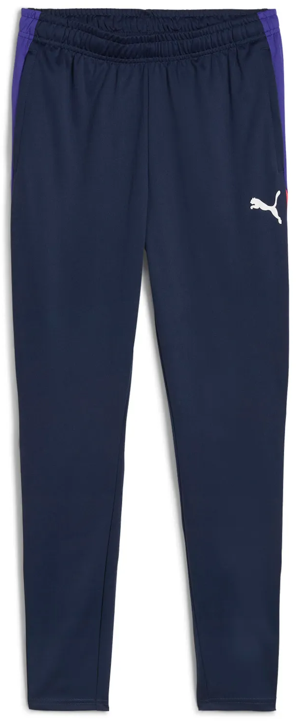 Trenirka Puma Training Pants Mornarica | 659517-01