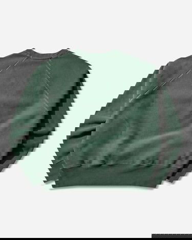 Pulover Champion Index and Archives Sunset Reverse Weave Fleece Sweatshirt with Pegasus Graphic Zelena | 221836 GS501, 2