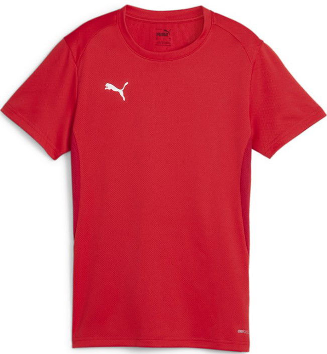 Dres Puma teamGOAL Jersey W Rdeča | 658638-01