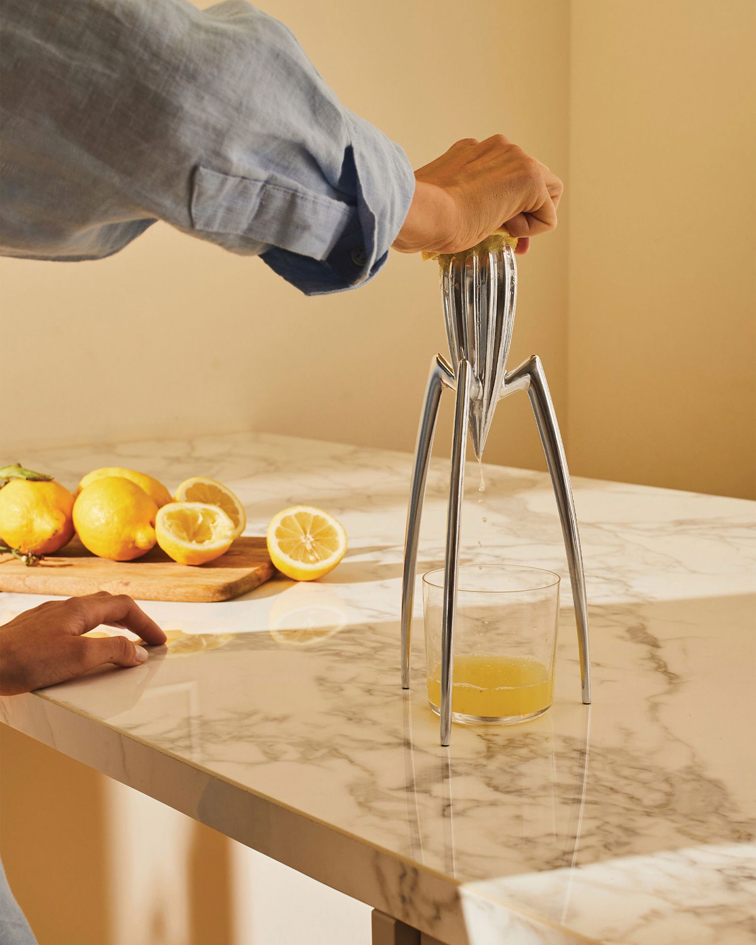 Home decor Alessi Juicy Salif Citrus Squeezer Kovinski | PSJS, 1