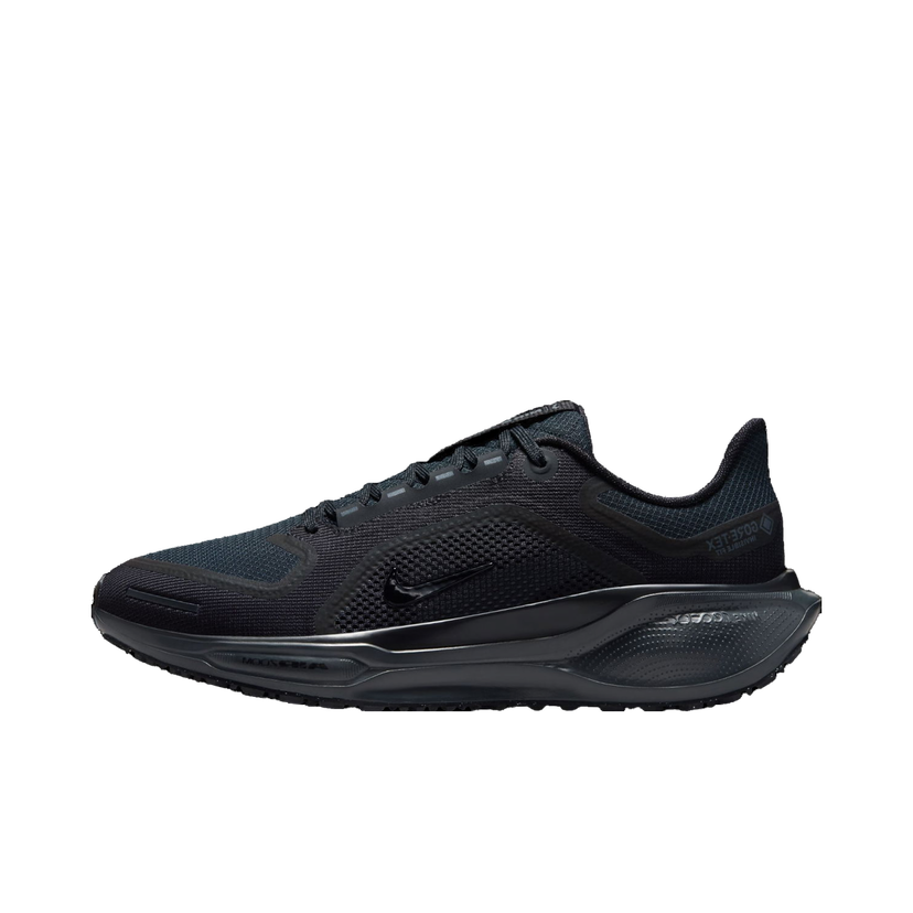 Tek Nike Pegasus 41 GORE-TEX Črna | fq1357-001